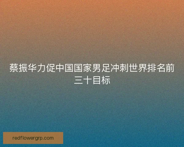 蔡振华力促中国国家男足冲刺世界排名前三十目标