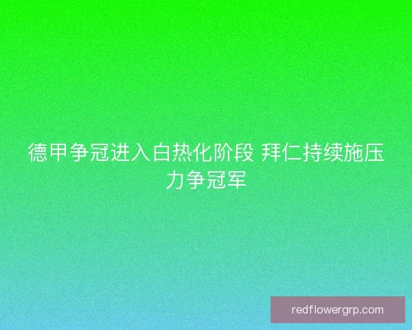 德甲争冠进入白热化阶段 拜仁持续施压力争冠军